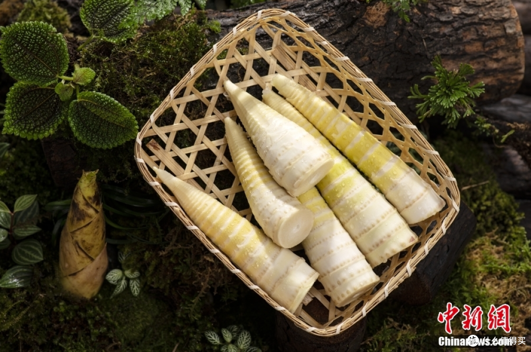 春日踏青食单:寻味山野间,三款宝藏烤肉全攻略