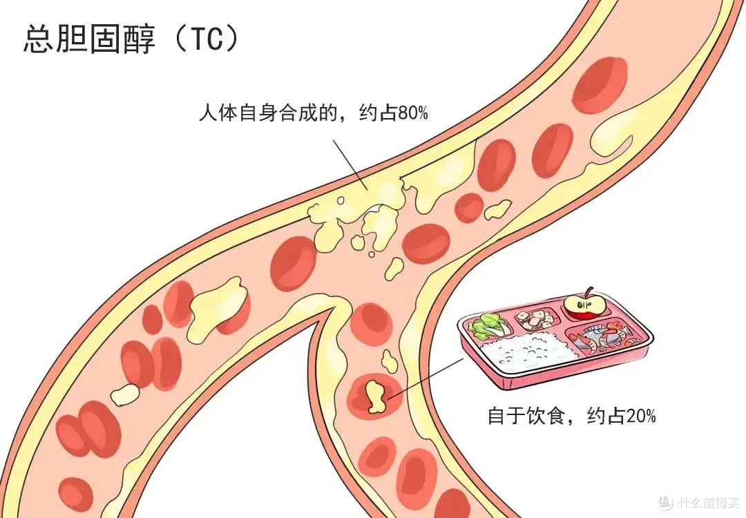 胆固醇 “王者” 不是肥肉,比它毒 25 倍,越吃血管越堵 !