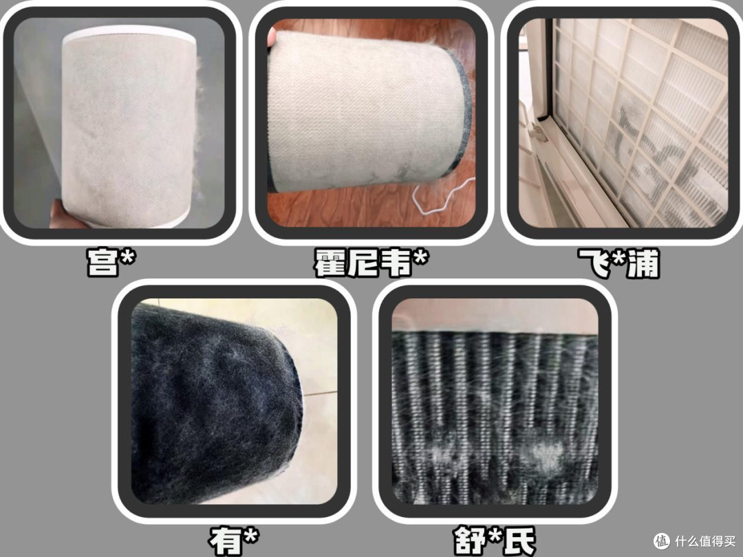实测甄选宠物空气净化器十大排名,揭秘宠物空气净化器哪个牌子好