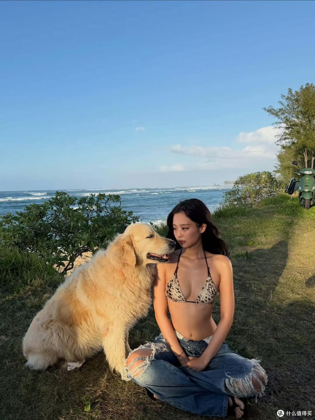 Jennie的直角肩，太美了，高级感十足