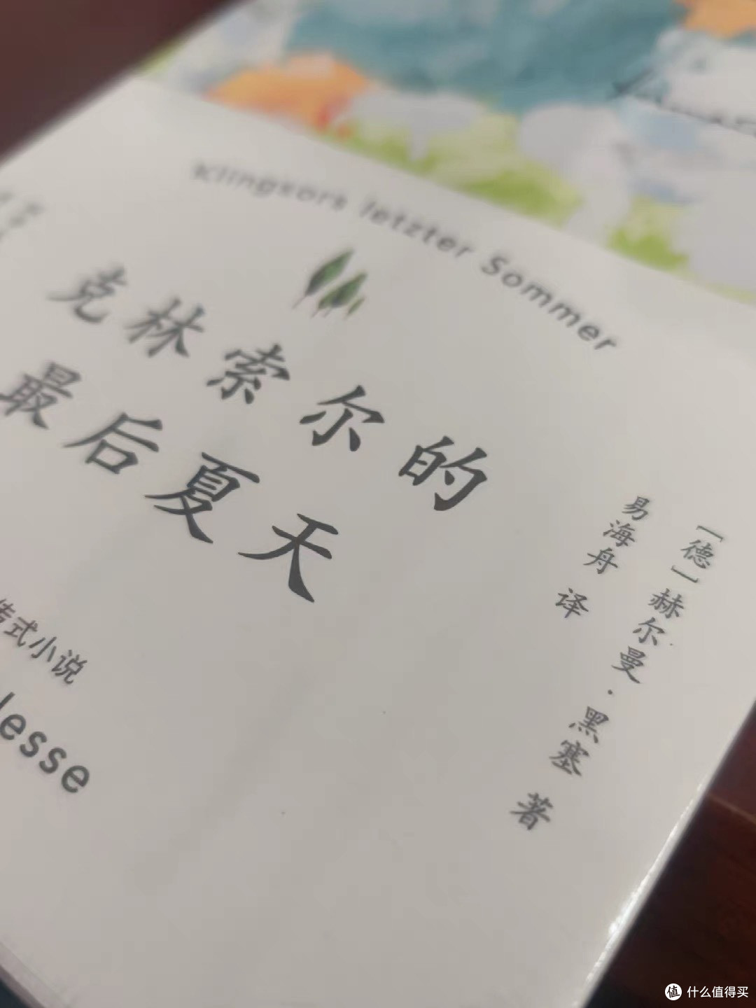 在生命的最后夏天,做一头燃烧的蜡烛