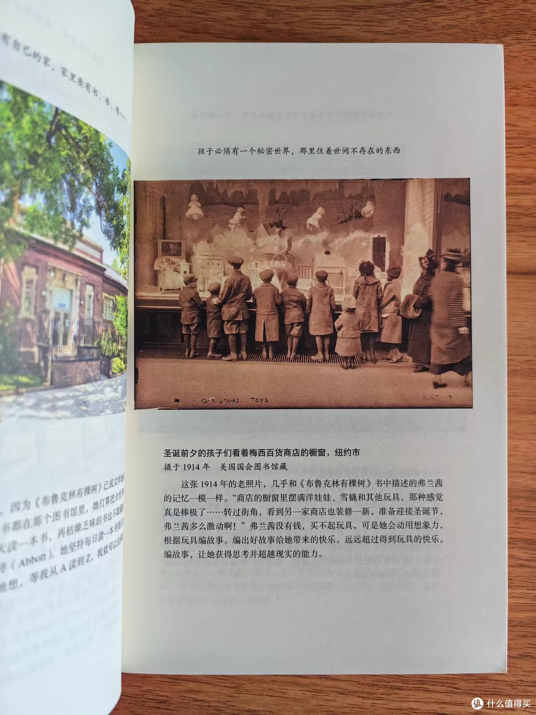《布鲁克林有棵树》：知识改变命运