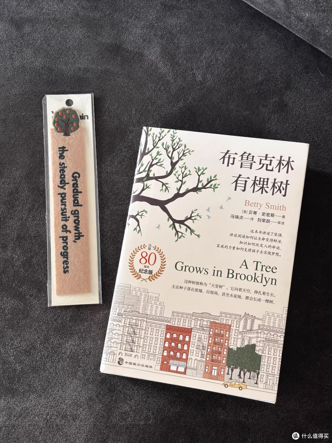 在贫瘠土壤中扎根,向天光生长