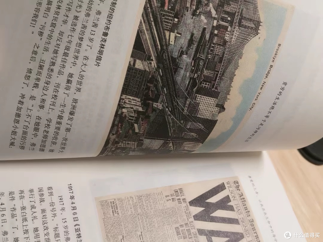 在贫瘠土壤中扎根,向天光生长