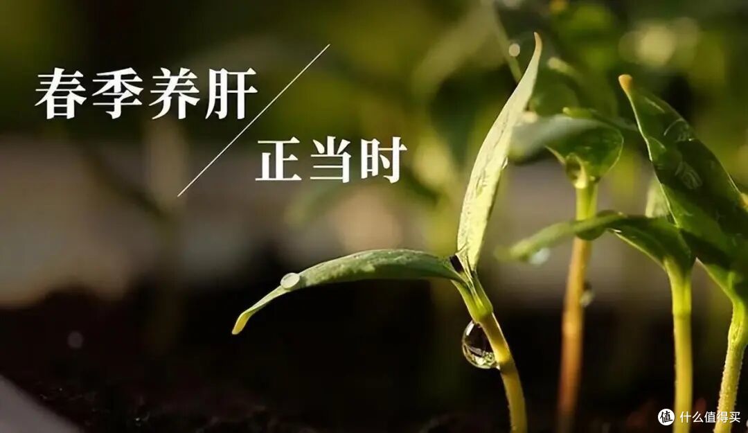 春天不养肝,一年病缠身,为什么春季要养肝?