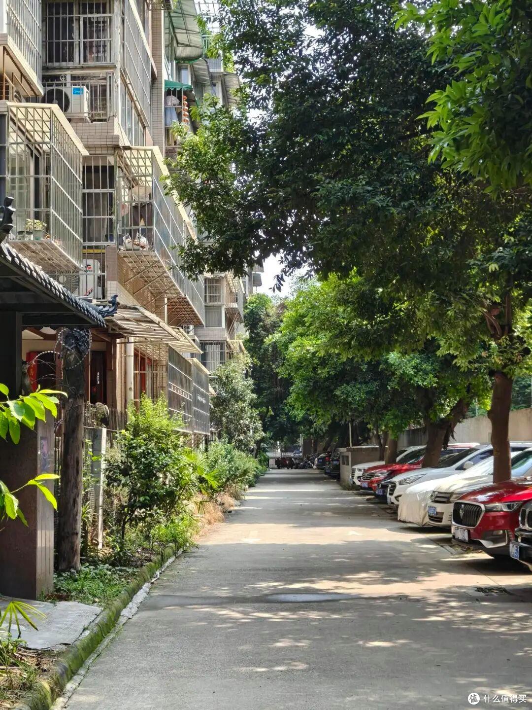 23个城市新房房价上涨,楼市这一次真的回暖了?