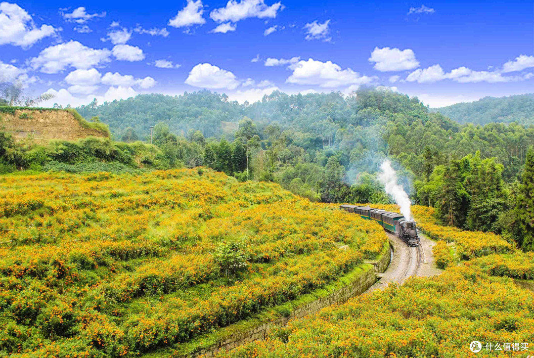穿越百年!四川嘉阳蒸汽小火车,闯进春日油菜花海