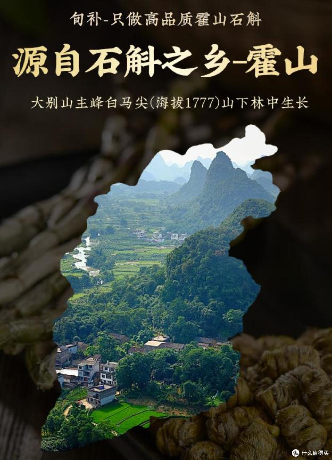 铁皮石斛哪个牌子好?品牌点评汇总,传统工艺融入现代检测更可靠