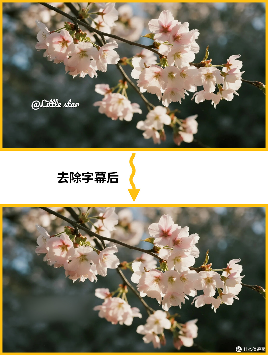 怎么样才能把视频里的字去掉?3大技巧新手也能无痕去视频字幕