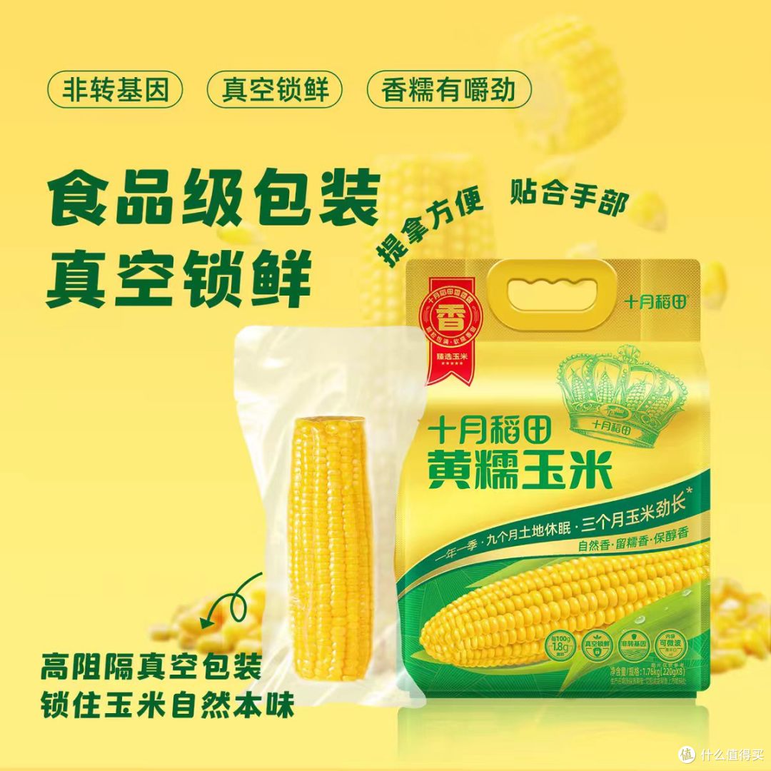🌽十月稻田黄糯玉米｜25 年头茬新货！糯到拉丝的东北甜糯🌽