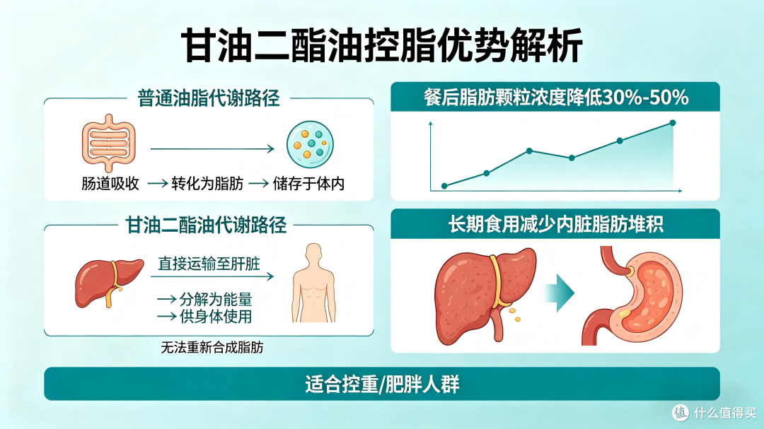 图片由豆包AI生成