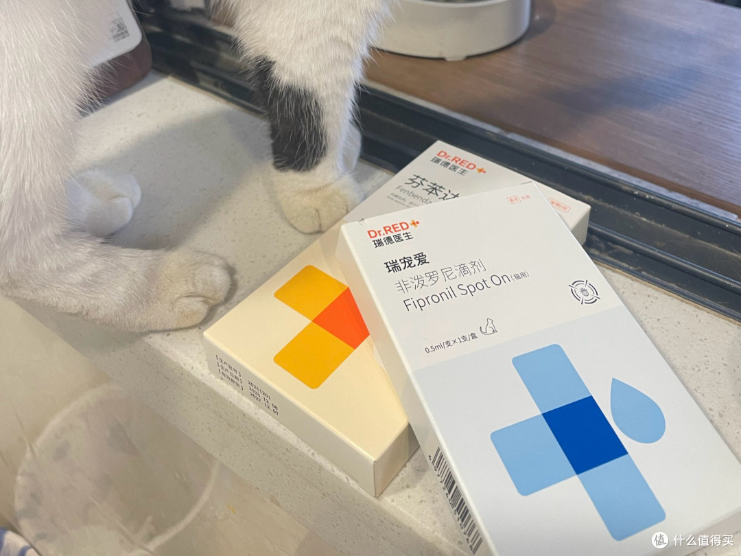 春季驱虫别偷懒,瑞德医生体内外同驱让猫咪舒坦过春天