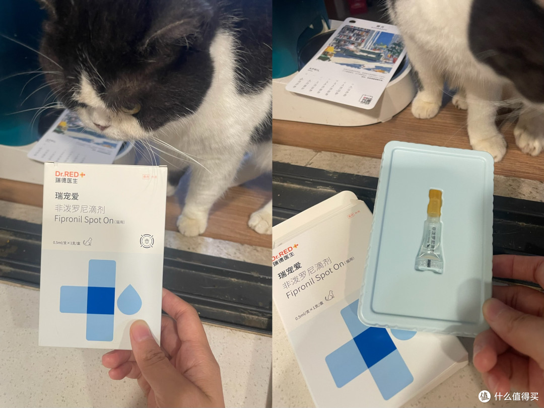春季驱虫别偷懒,瑞德医生体内外同驱让猫咪舒坦过春天