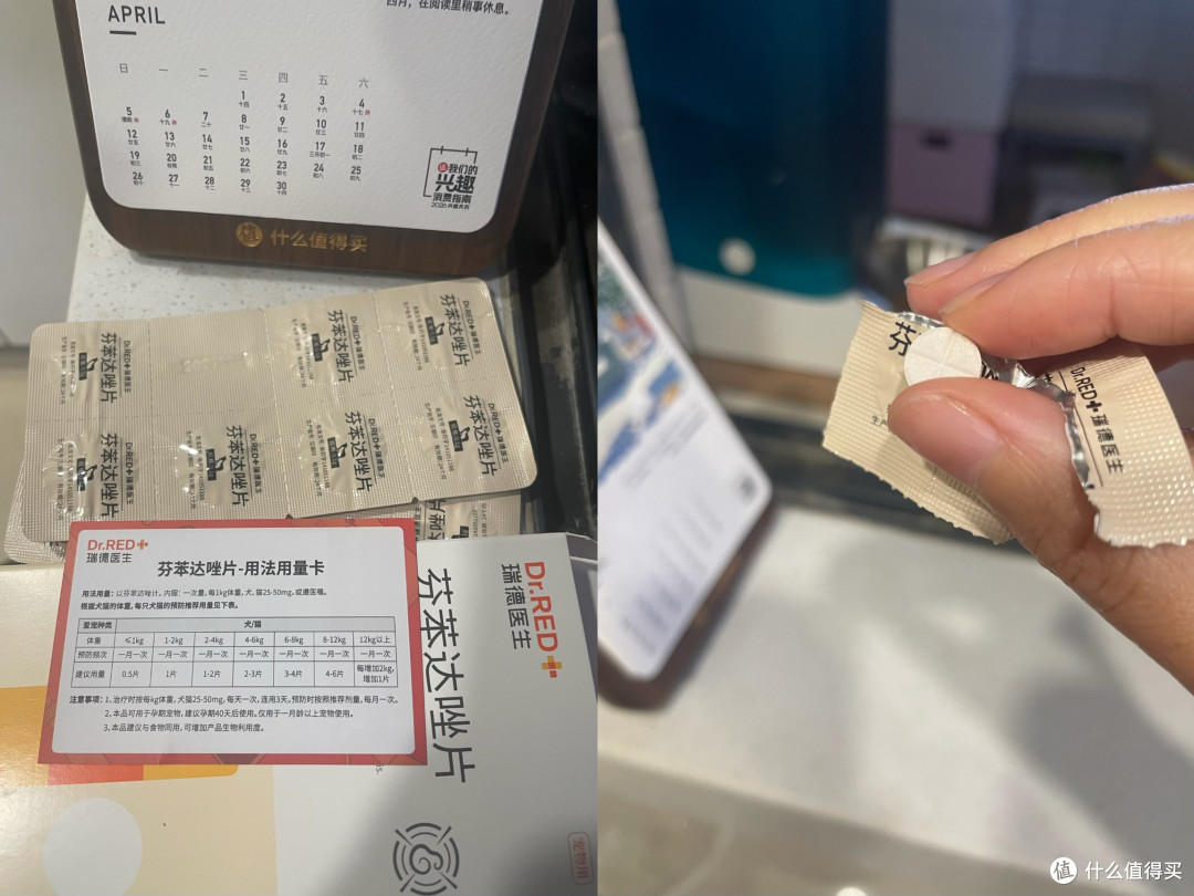 春季驱虫别偷懒,瑞德医生体内外同驱让猫咪舒坦过春天