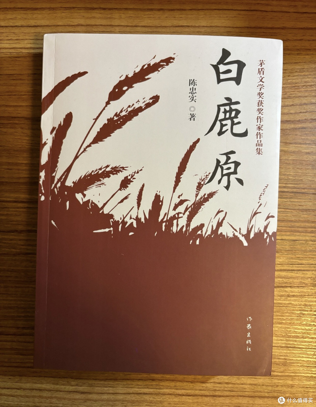 《白鹿原》:被“腰斩”的民族史诗,只剩一曲田小娥的悲歌