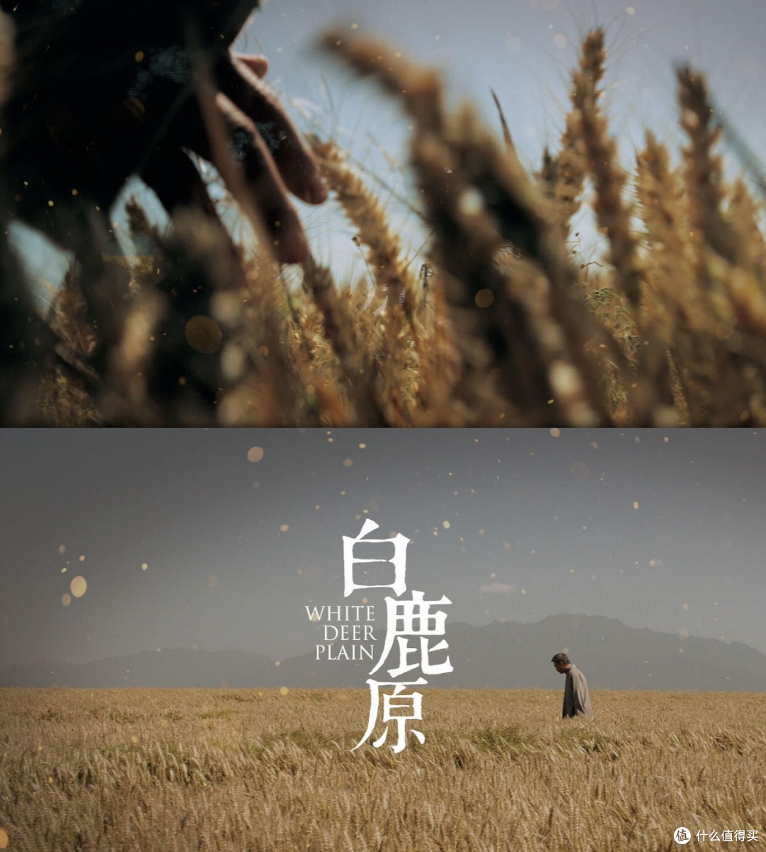 《白鹿原》:被“腰斩”的民族史诗,只剩一曲田小娥的悲歌