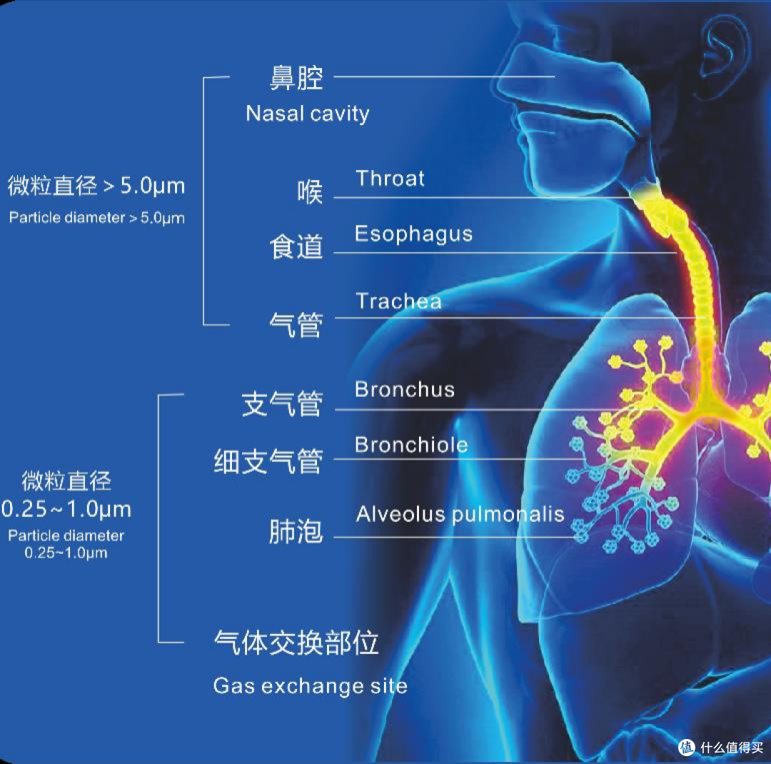 解密电子口喷核心技术：超声波和微孔雾化哪个好？