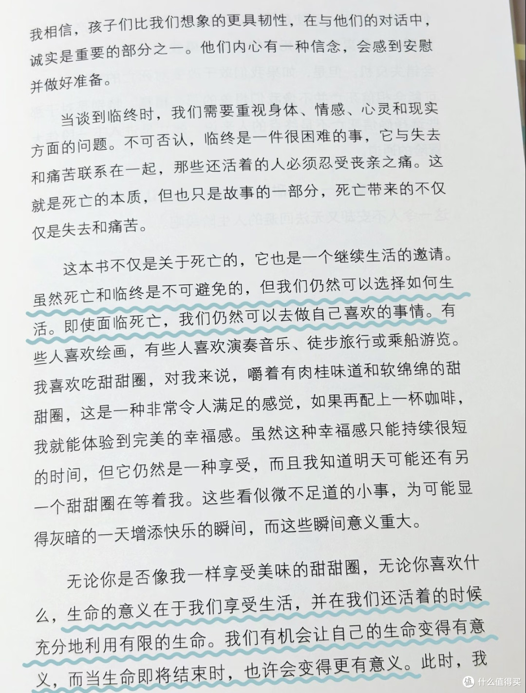 生死甜甜圈:生命的边界与意义