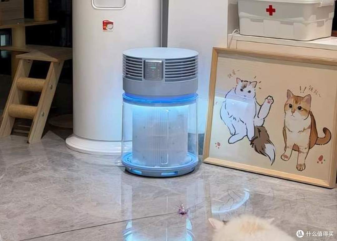 宠物空气净化器哪个牌子好?吸猫毛排行榜前十名,去除异味安心选
