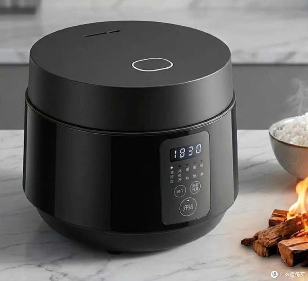 2026 耐用型电饭煲怎么挑选？4 款经典品牌实测，长期使用不翻车
