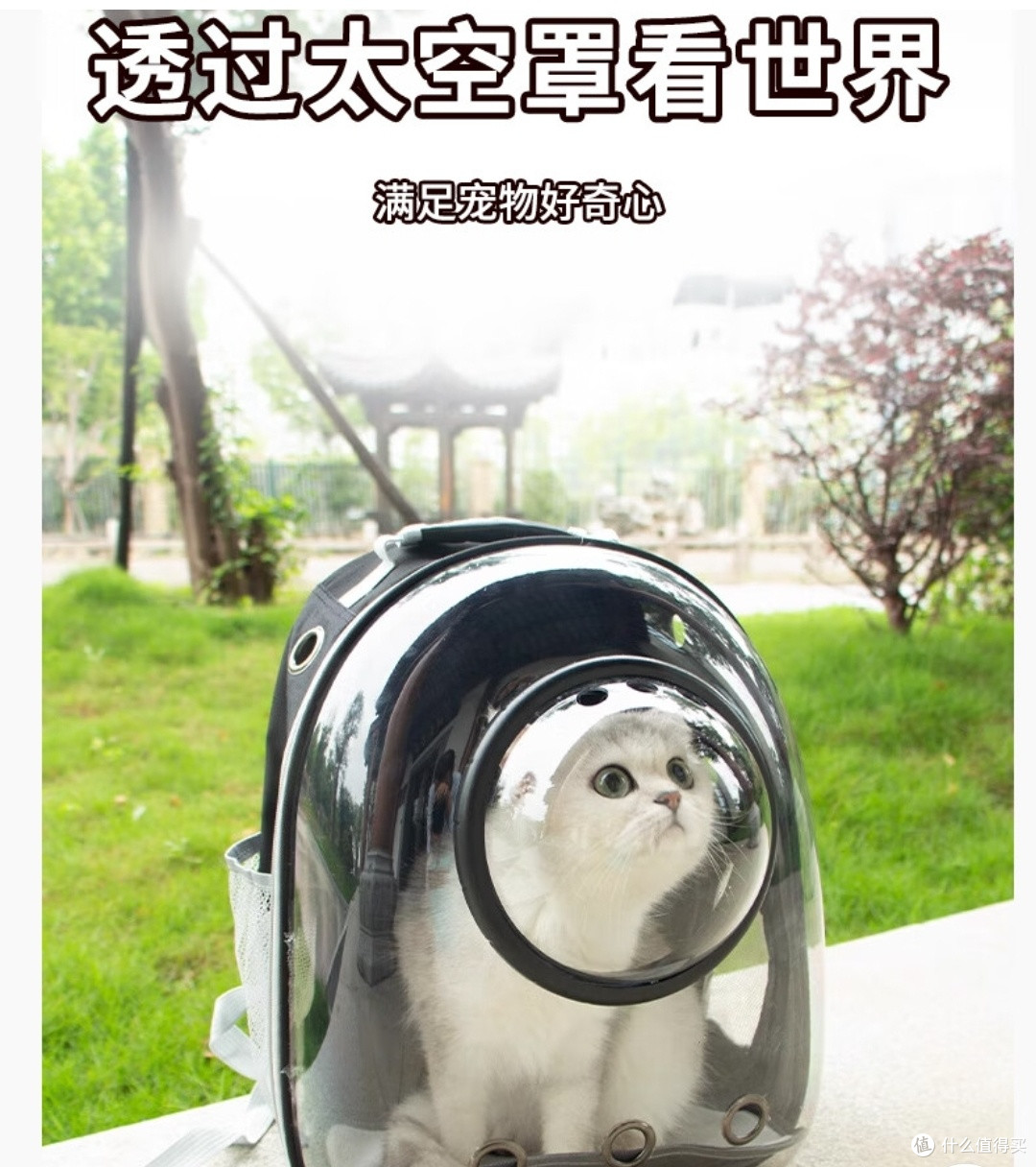 大号太空舱猫包,带宠出行无忧