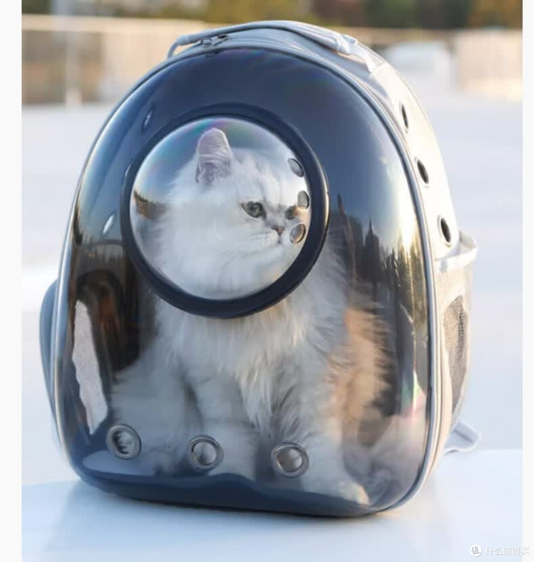 大号太空舱猫包,带宠出行无忧