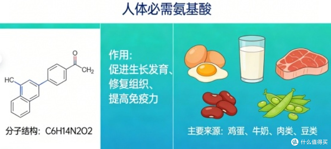 别纠结2026赖氨酸哪个牌子好?十大排名已出,认准添加氨基丁酸的
