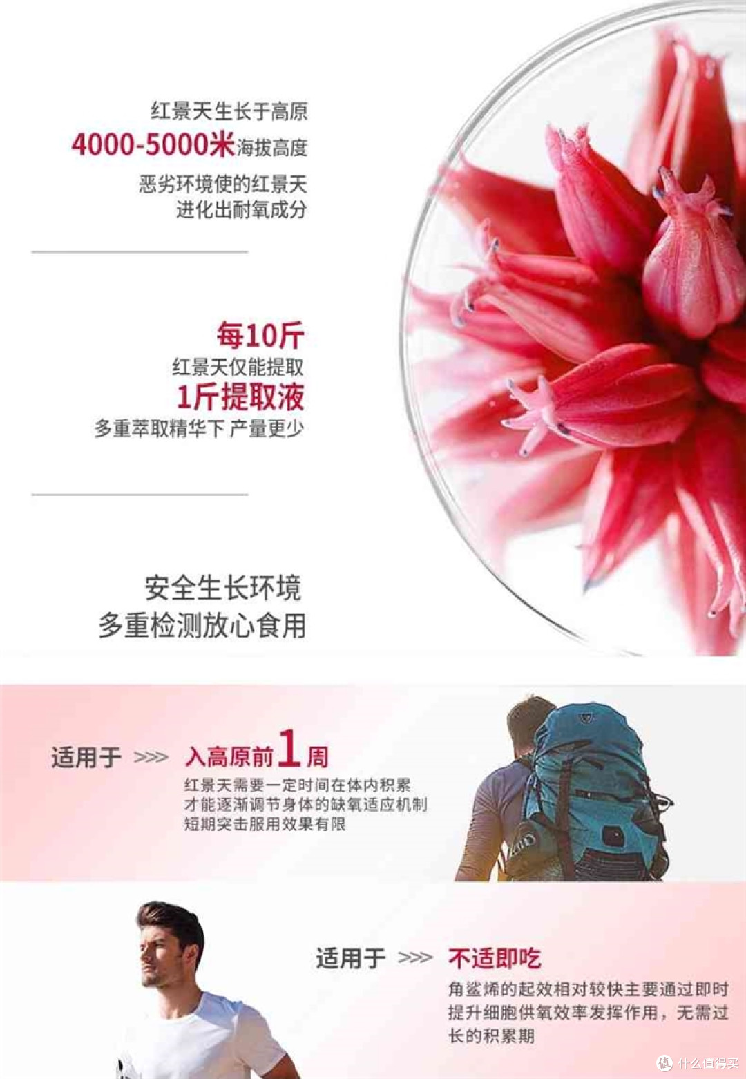 热门红景天哪个牌子性价比高？2026抗高反红景天十大品牌推荐