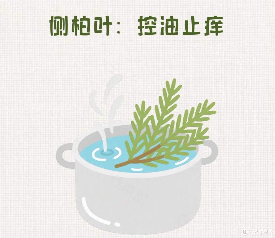 拯救大油头，从头皮开始的清爽秘籍
