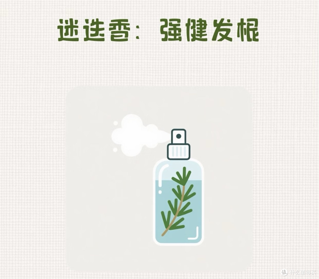 拯救大油头，从头皮开始的清爽秘籍