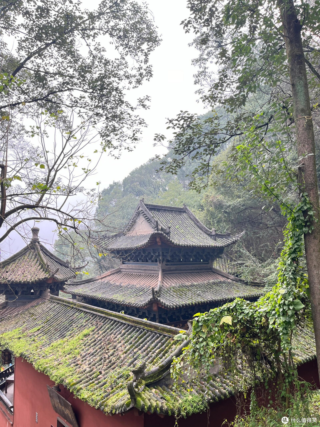 宜宾之旅:追寻哪吒的足迹