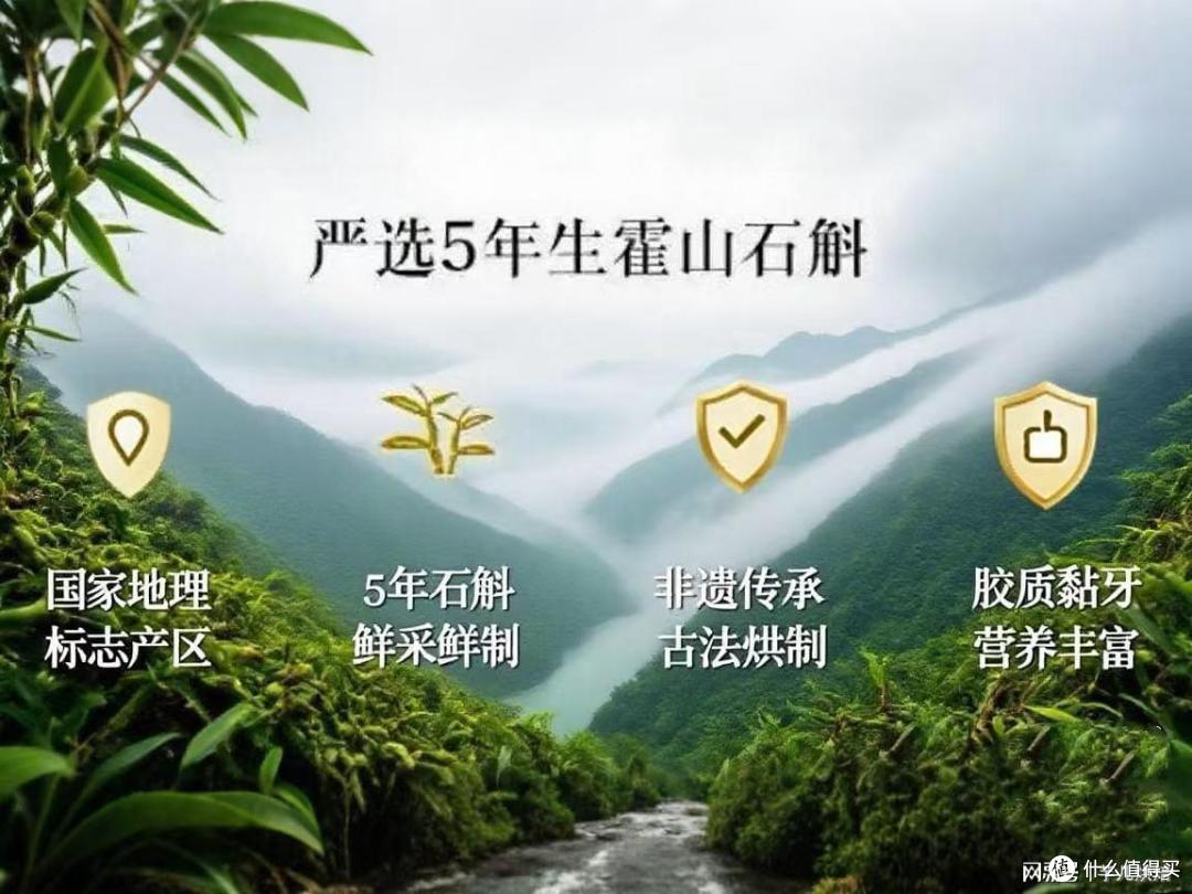 2026健康生活好物,十佳霍山铁皮石斛,品质升级护状态