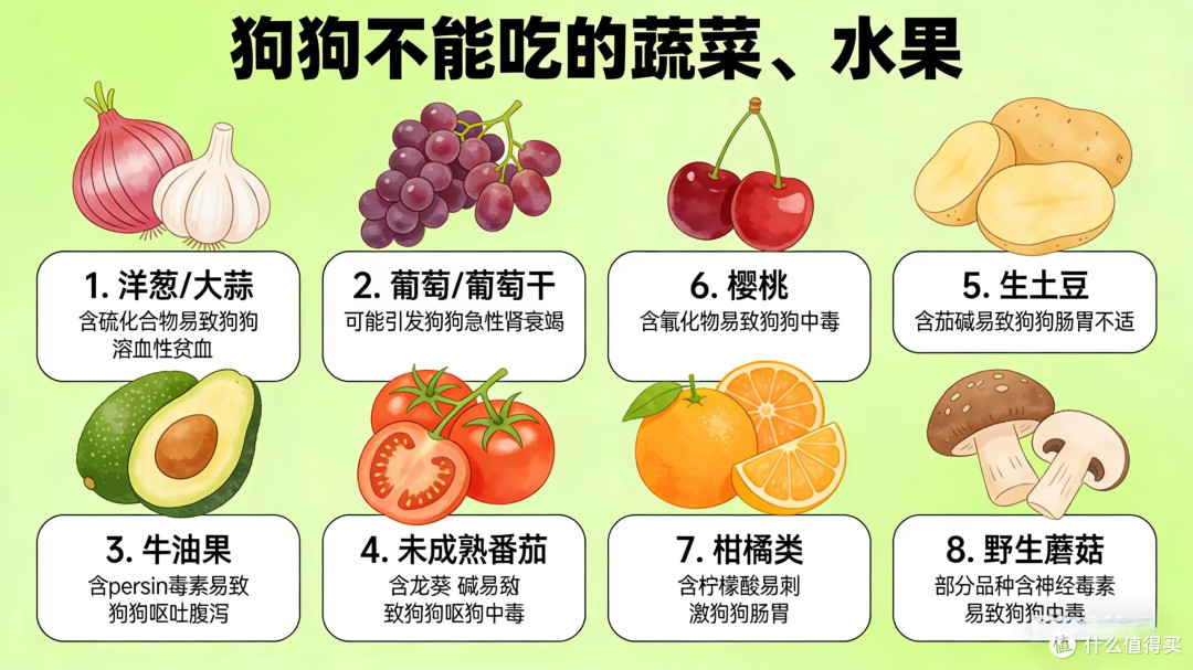 春季宠物饮食大揭秘，你做对了吗？