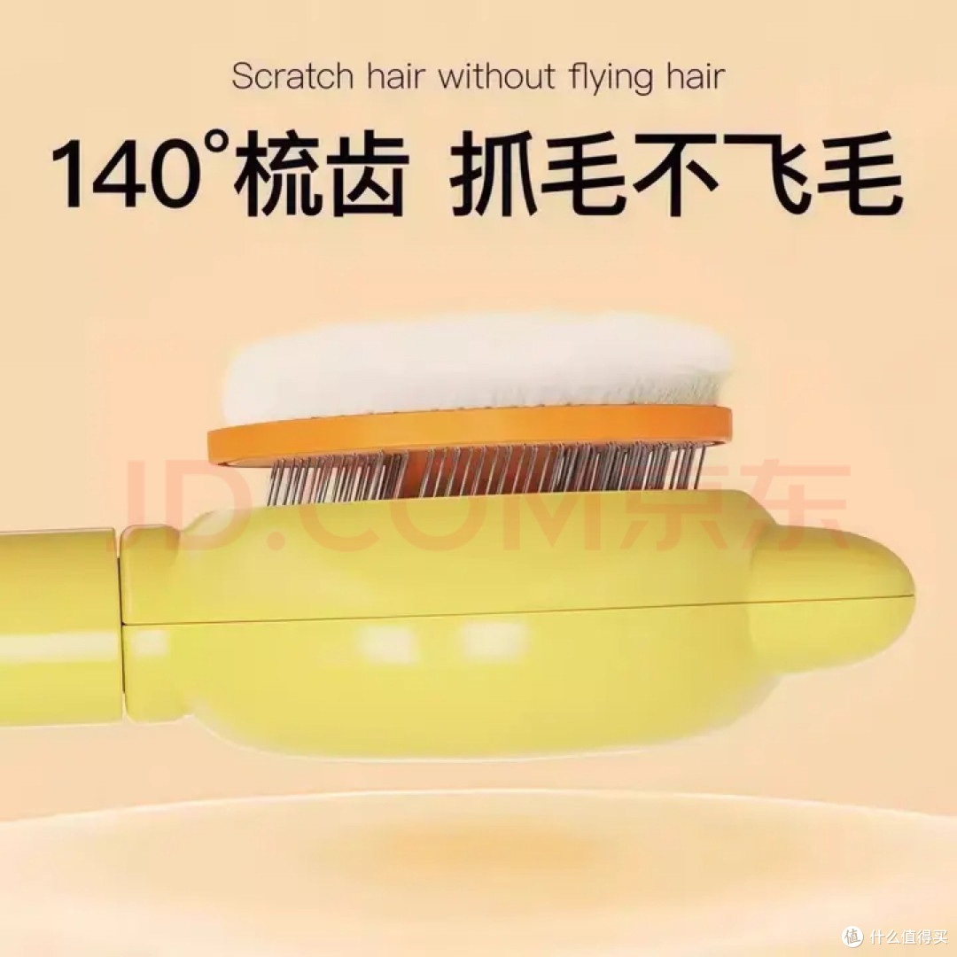 告别宠物掉毛满天飞