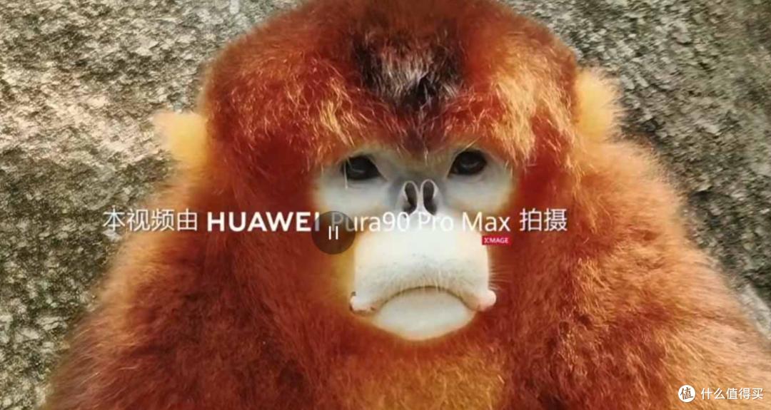 华为Pura90系列提前预售!新消息:设计延续但更大胆|这次很亮眼