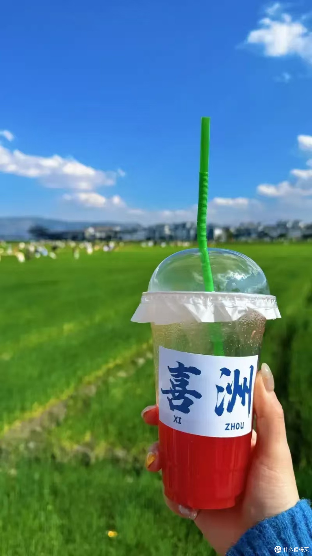 玉龙雪山之巅:一场心灵与自然的对话