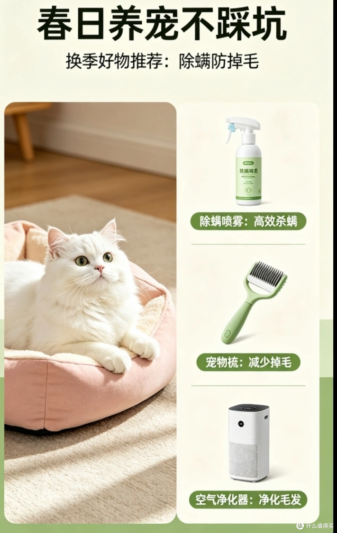 换季养护全攻略,毛孩子安稳过春天