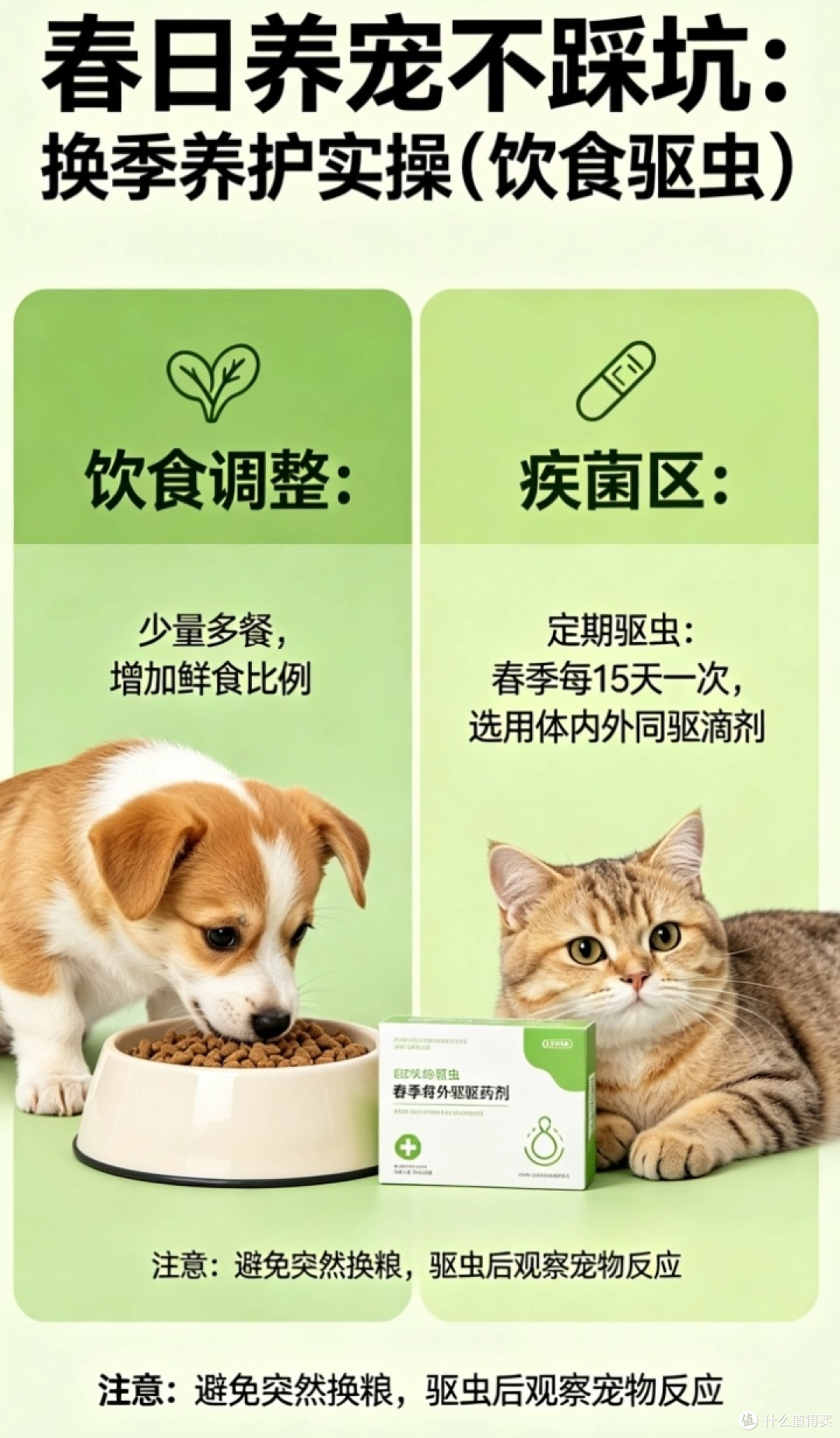 换季养护全攻略，毛孩子安稳过春天