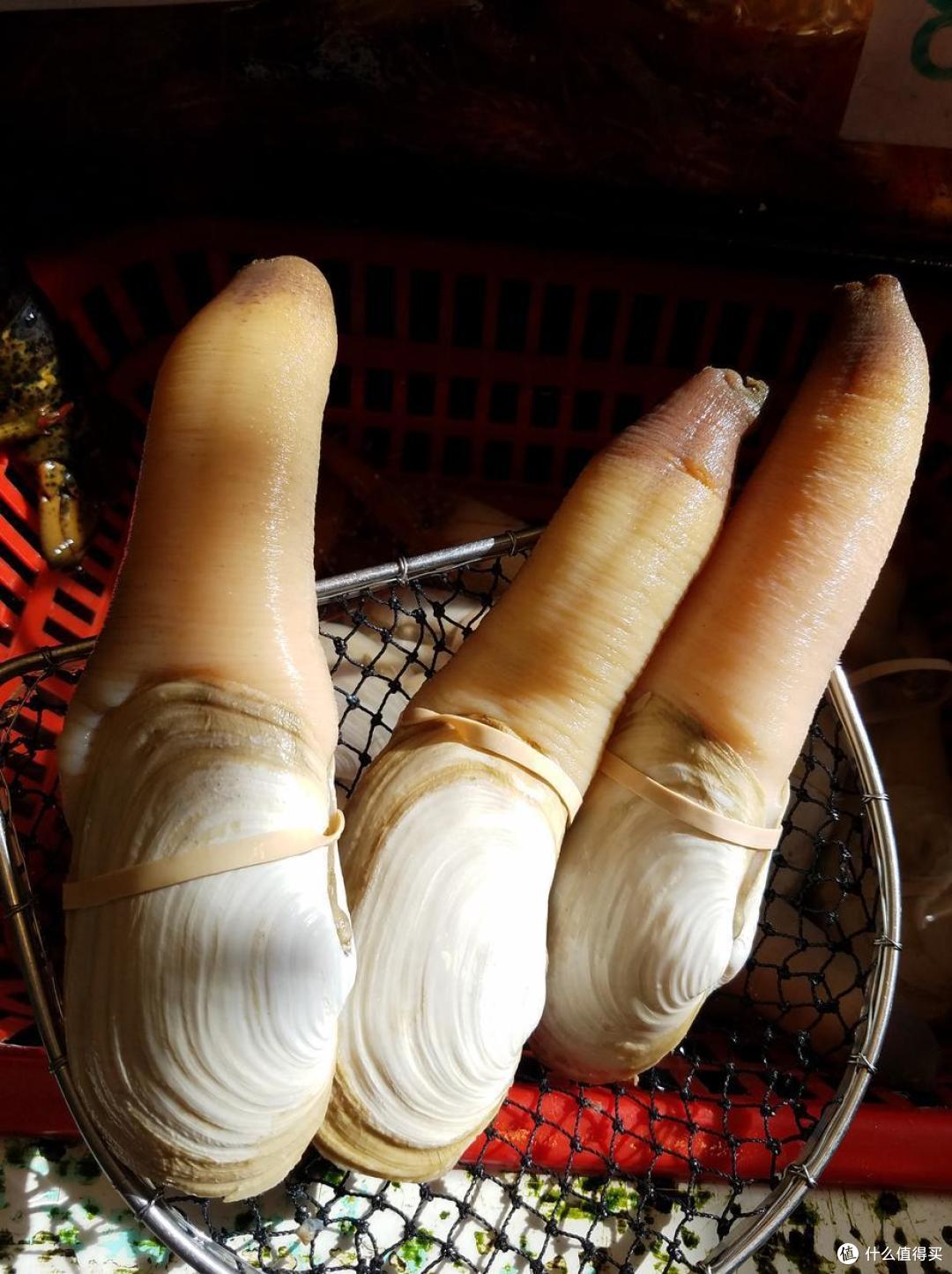 中国“最贵”的十大海鲜,就算有钱也未必吃过,看看你吃过哪几种