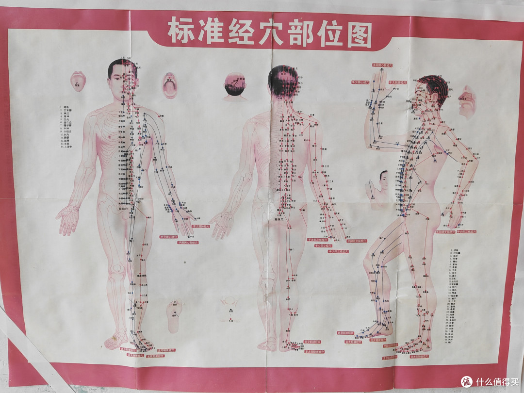 30年老鼻炎患者现身说法,一文说清鼻炎这些事及春日养护大全!