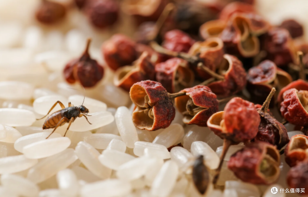 米缸防虫,花椒比大蒜更管用