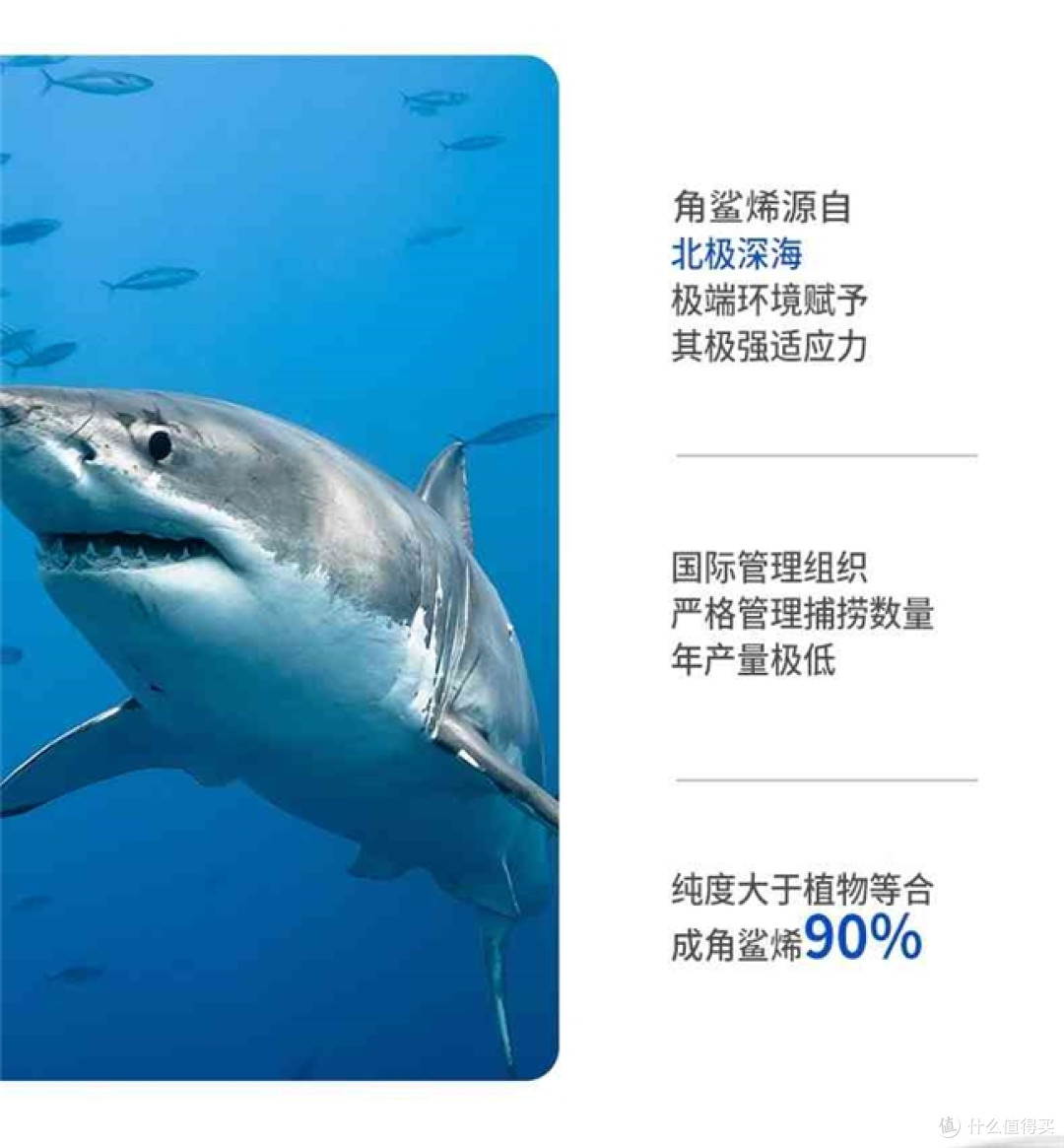 热门红景天哪个牌子性价比高？2026抗高反红景天十大品牌推荐