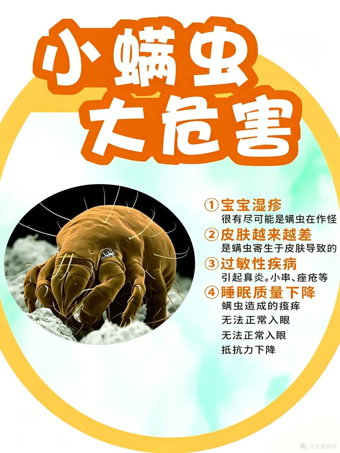 2026年大吸力除螨仪硬核测评:5款高性价比机型,参数党必看
