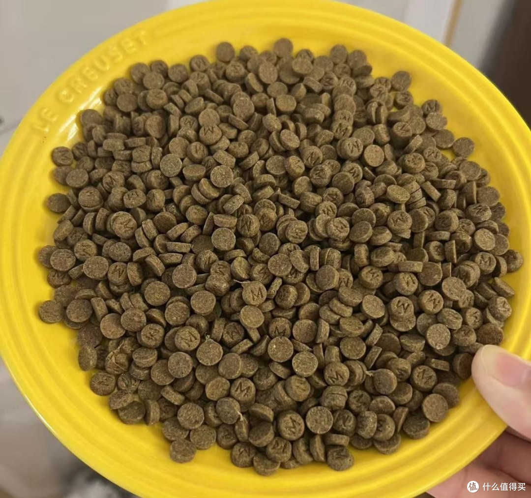 膨化狗粮和烘焙狗粮的优缺点?2026高性价比口碑狗粮