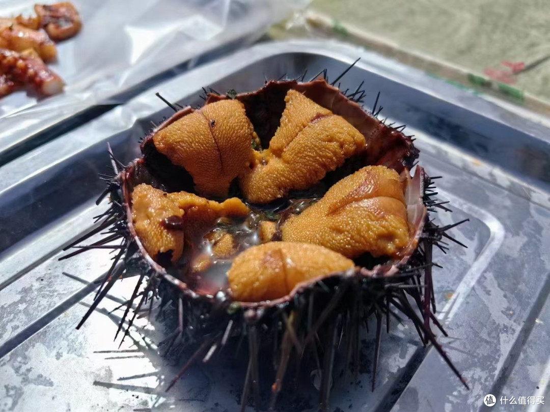 大连三天两晚旅游攻略
