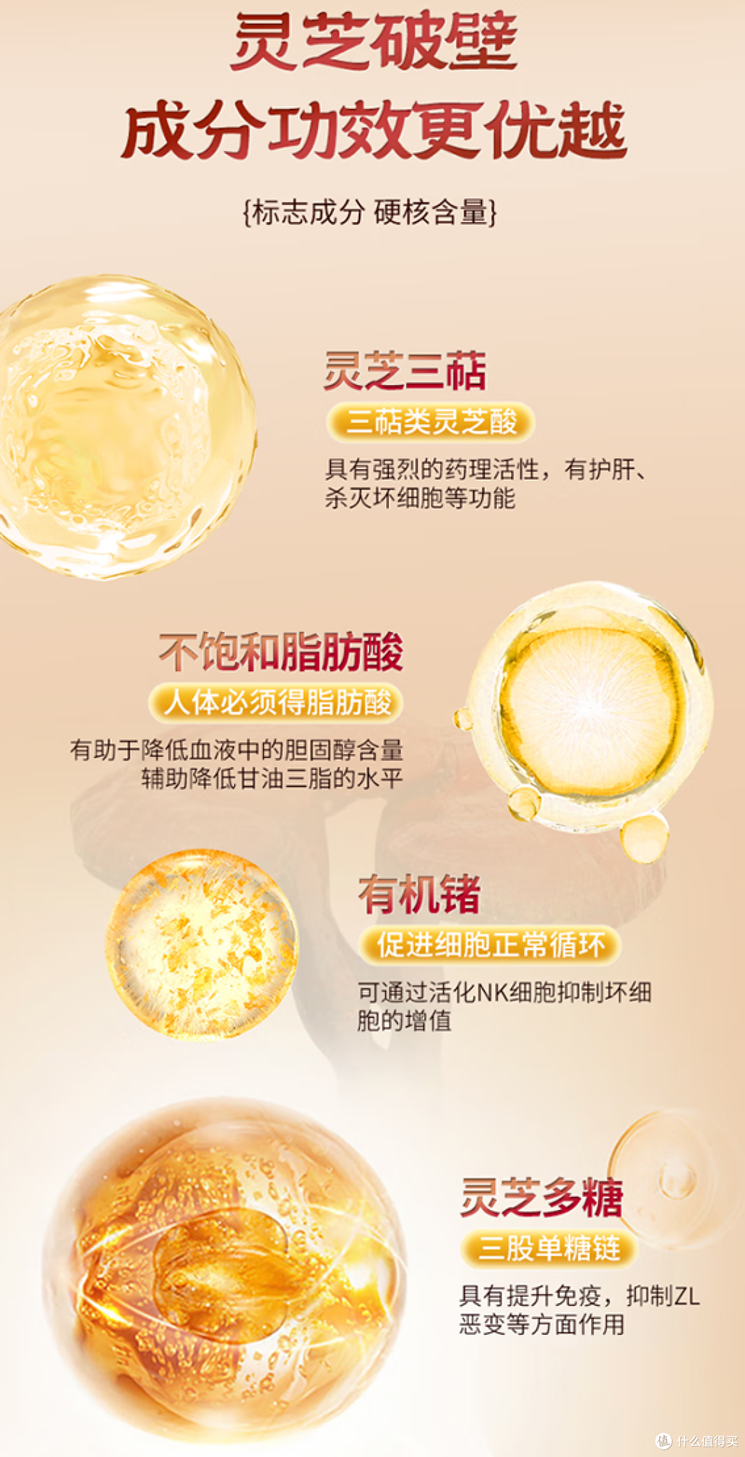 破壁灵芝孢子粉哪个品牌最好?2026年全国十大品牌对比盘点