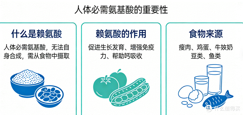 爆款测评!赖氨酸哪个牌子的效果比较好?2026十大排名力荐DHA款
