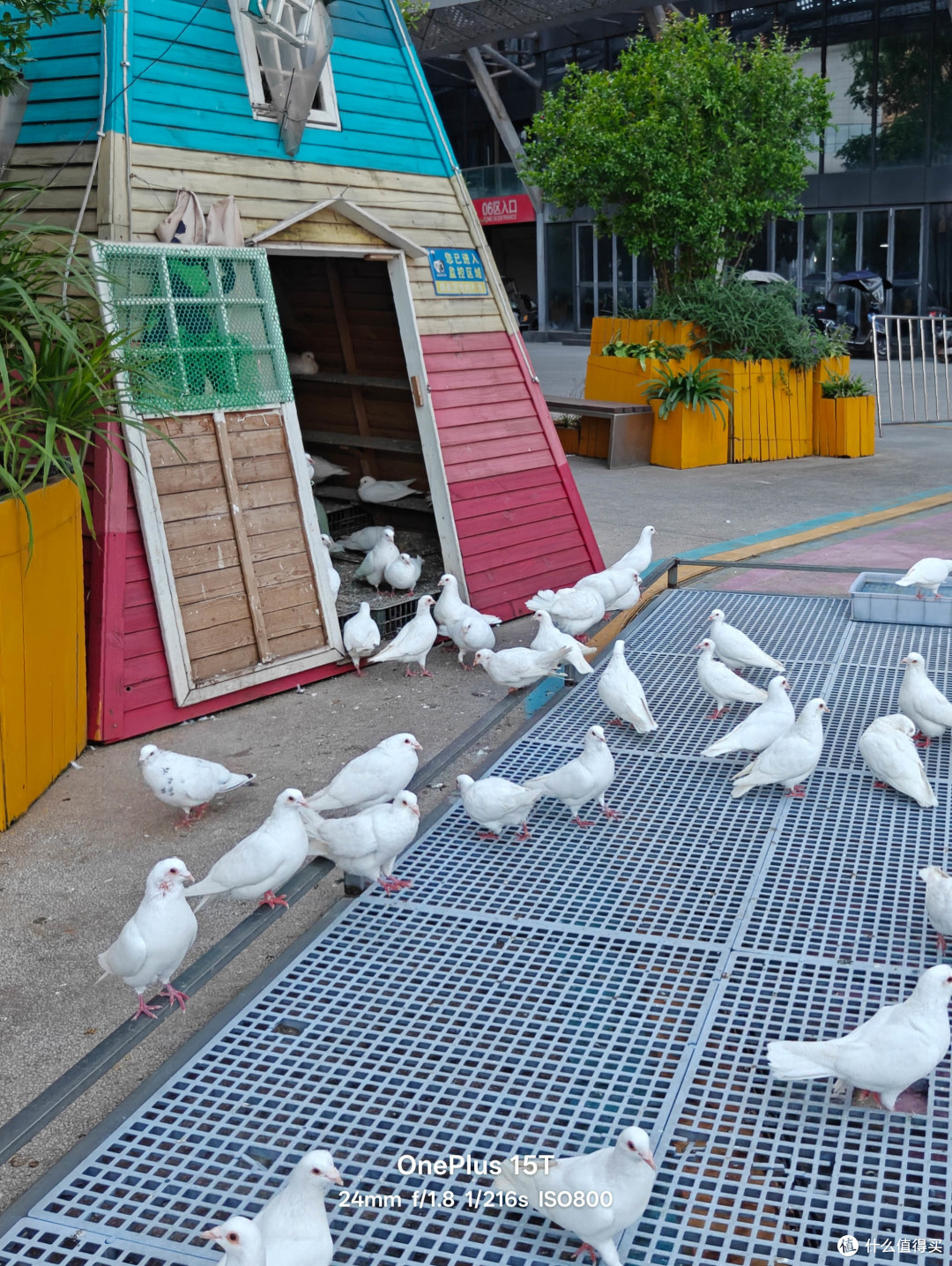 小屏旗舰的全面进化:一加15T深度体验评测