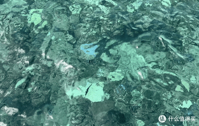 这样的奢华私人岛,是顶级蜜月旅行目的地