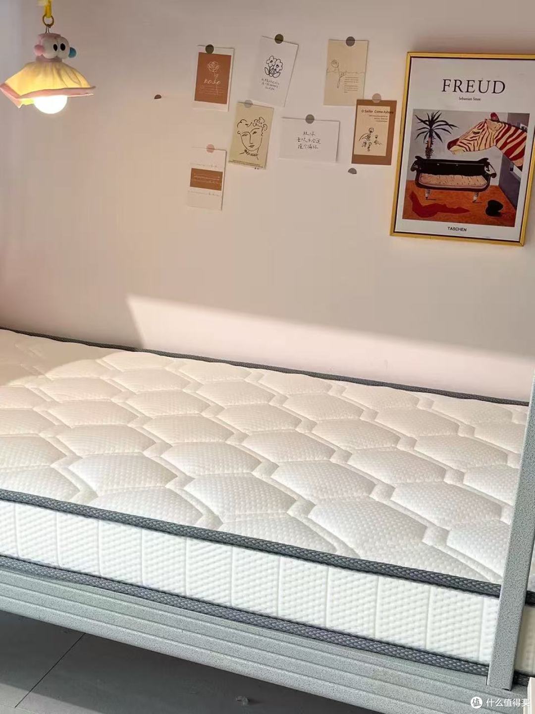 宿舍睡眠救星✨欧派乳胶记忆棉床垫,躺下去就不想起